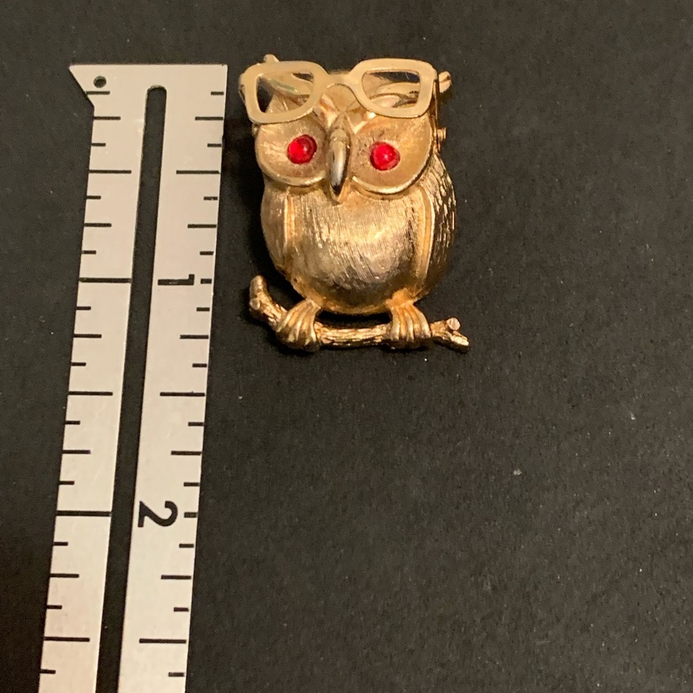 Gold pin of an owl with movable spectacles